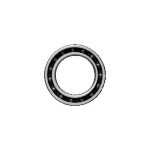 BALEROS 61805-2RSL/HC5  RECUBIERTOS