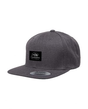 GORRA CRANKBROTHERS SNAPBACK  GRIS